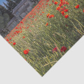 Steinhaus mit Ruby Red Tulip Field Seidenpapier (Ausschnitt)