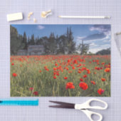 Steinhaus mit Ruby Red Tulip Field Seidenpapier (Handwerk)