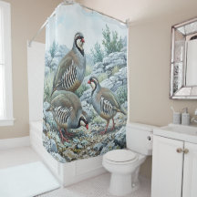Steinhuhn ,Alectoris Graeca Jagdvögel