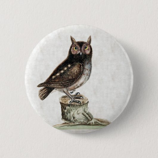 Steinkauz Button (Vorderseite)