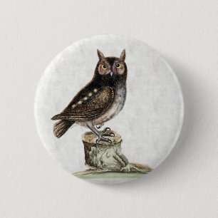Steinkauz Button