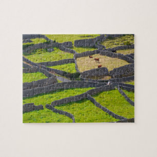 Steinmauern Galway Irland. Puzzle