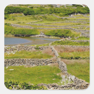 Steinmauern von Irland Quadratischer Aufkleber