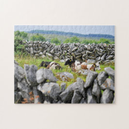 Steinmauern von Kerry. Puzzle