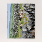 Steinmauern von Kerry. Puzzle (Vertikal)