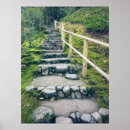 Steinpfad in den dichten Wald Poster (Vorne)