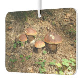 Steinpilz Autolufterfrischer (Links)