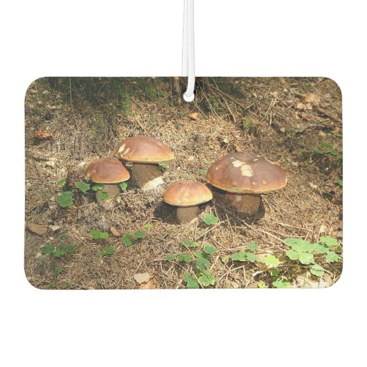 Steinpilz Autolufterfrischer (Vorderseite)