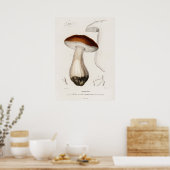 Steinpilz (Boletus edulis) Poster (Küche)