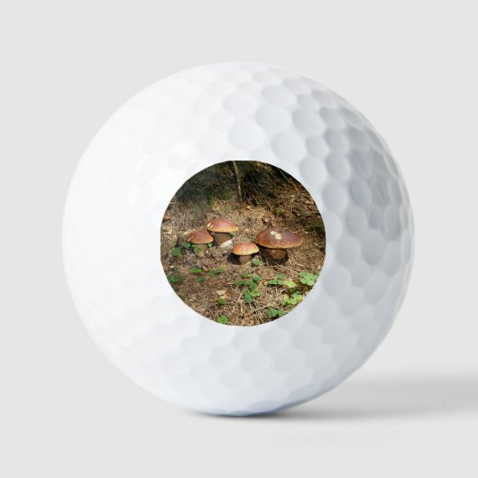 Steinpilz Golfball (Vorderseite)