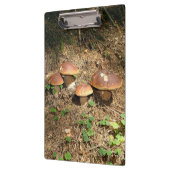 Steinpilz Klemmbrett (Links)