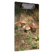 Steinpilz Klemmbrett (Rechts)