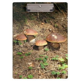 Steinpilz Klemmbrett