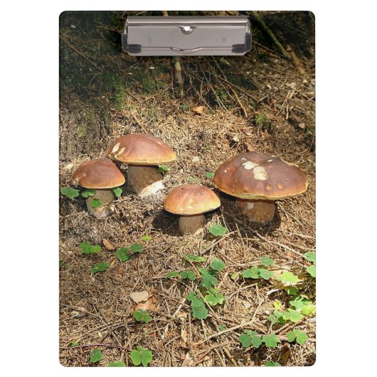 Steinpilz Klemmbrett (Vorderseite)