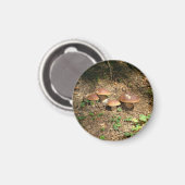 Steinpilz Magnet (Vorderseite/Rückseite)