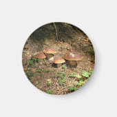 Steinpilz Magnet (Vorne)