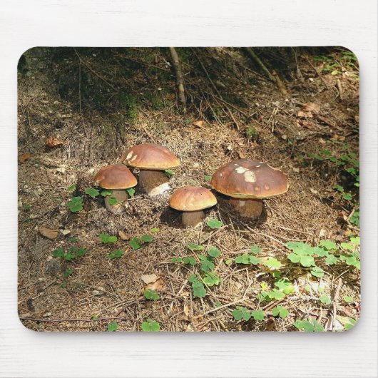 Steinpilz Mousepad (Vorne)