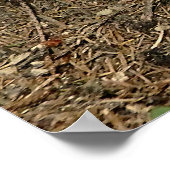 Steinpilz Poster (Ecke)