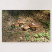 Steinpilz Puzzle (Horizontal)