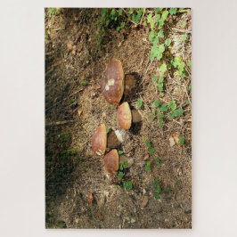 Steinpilz Puzzle