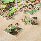 Steinpilz Puzzle (Seite)