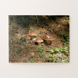 Steinpilz Puzzle