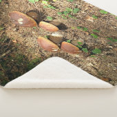 Steinpilz Sherpadecke (3/4)