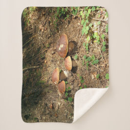 Steinpilz Sherpadecke