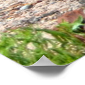 Steinprotokolle im versteinerten Wald Poster (Ecke)