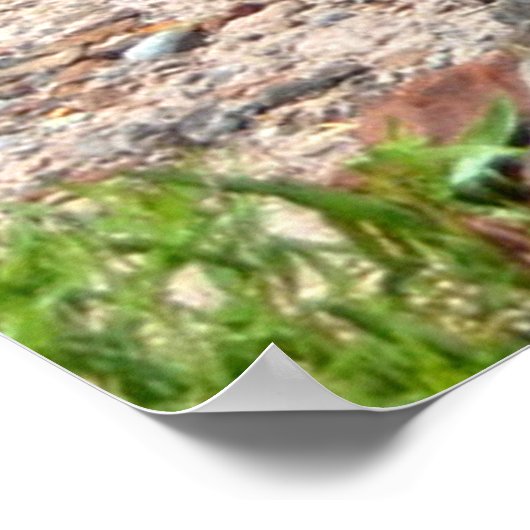 Steinprotokolle im versteinerten Wald Poster (Ecke)