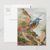 Steinrötel Postkarte (Vorne/Hinten)