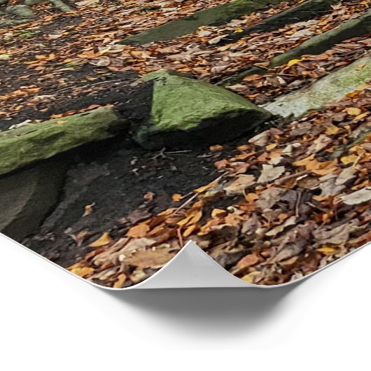 Steinschritte im Wald Poster (Ecke)