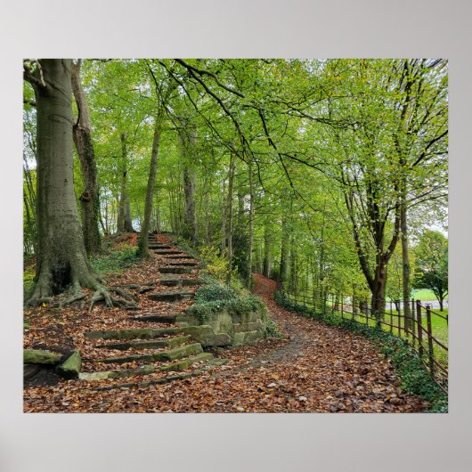 Steinschritte im Wald Poster (Vorne)