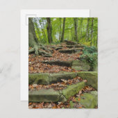 Steinschritte im Wald Postkarte (Vorne/Hinten)