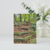 Steinschritte im Wald Postkarte (Stehend Vorderseite)
