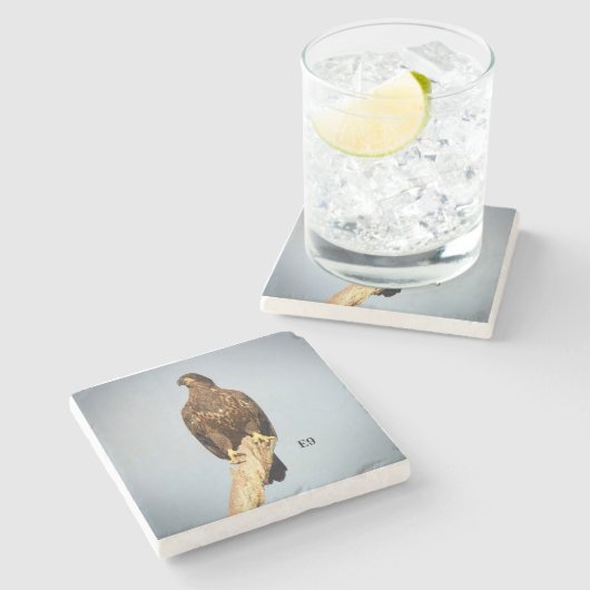 SteinUntersetzer E9 (Seitenansicht)