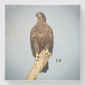 SteinUntersetzer E9 (Vorderseite)