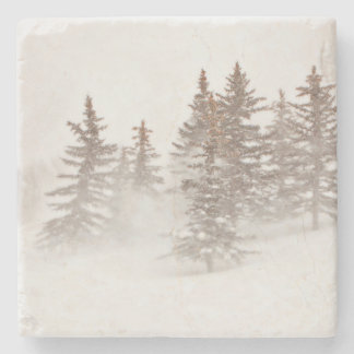 SteinUntersetzer - GebirgsZuhause inspiriert