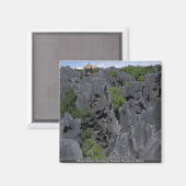 Steinwald, Kunming, Provinz Yunnan, China Magnet (Vorderseite/Rückseite)