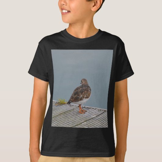 Steinwälzer T-Shirt (Vorderseite)