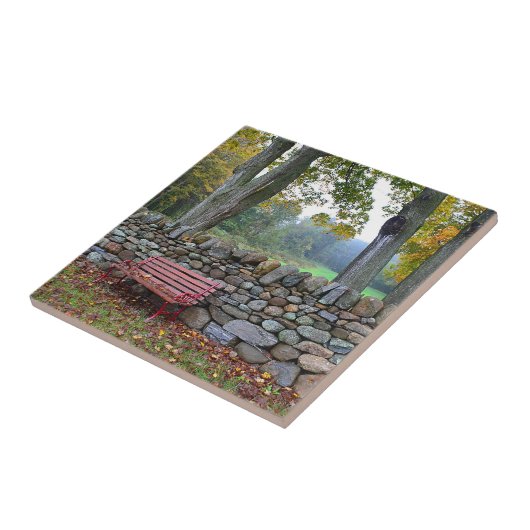 Steinwand-Fliese Fliese (Seite)