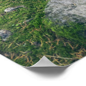 Steinwanderweg im Park Poster (Ecke)