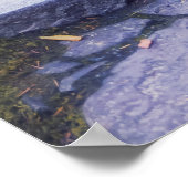 Steinweg im Mossewald im Herbst Poster (Ecke)