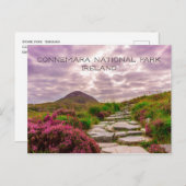 Steinweg, Wildblumen, Nationalpark Connemara, Postkarte (Vorne/Hinten)