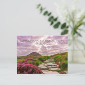Steinweg, Wildblumen, Nationalpark Connemara, Postkarte (Stehend Vorderseite)