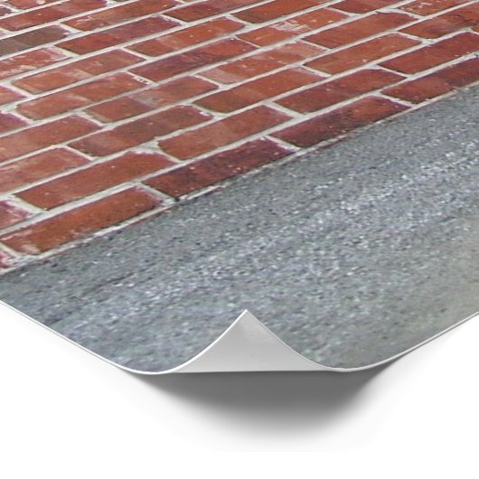 Steiny Poster (Ecke)