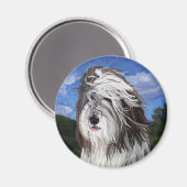 Stella, der englische Schafhund Magnet (Vorderseite/Rückseite)