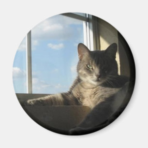 Stella-Fenstermagnet Magnet