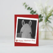 Stella Postkarte (Stehend Vorderseite)