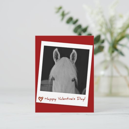 Stella Postkarte (Stehend Vorderseite)